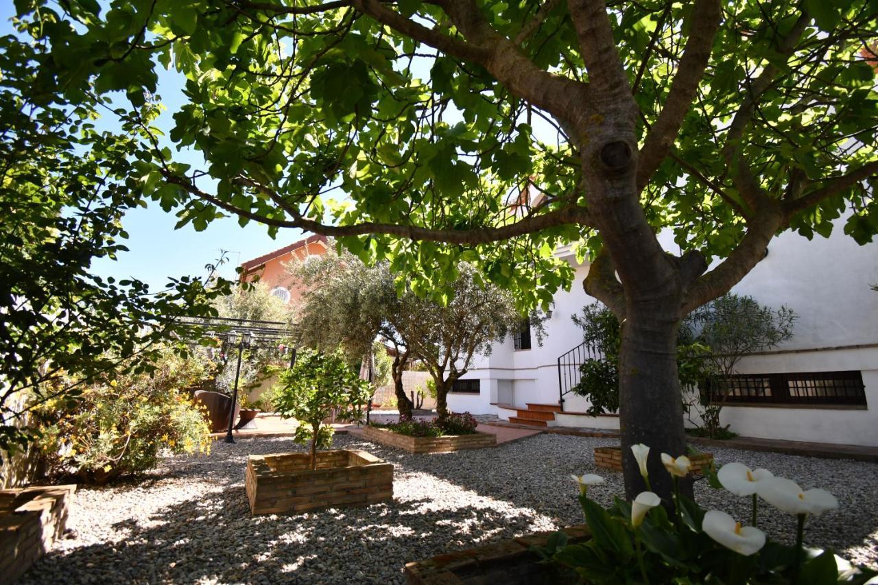 Villa Maria, Piscina Y Spa Exterior Privado Belicena Buitenkant foto